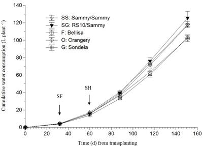 Impact of Cultivar and Grafting on Nutrient and Water Uptake by Sweet Pepper (Capsicum annuum L.) Grown Hydroponically Under Mediterranean Climatic Conditions